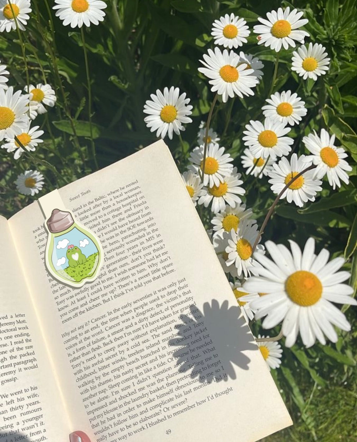 frog in a bulb magnetic bookmark